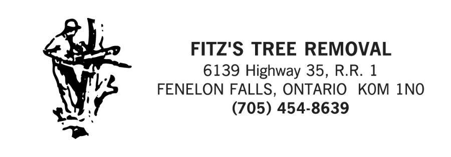 FITZ'S TREE & STUMP REMOVAL