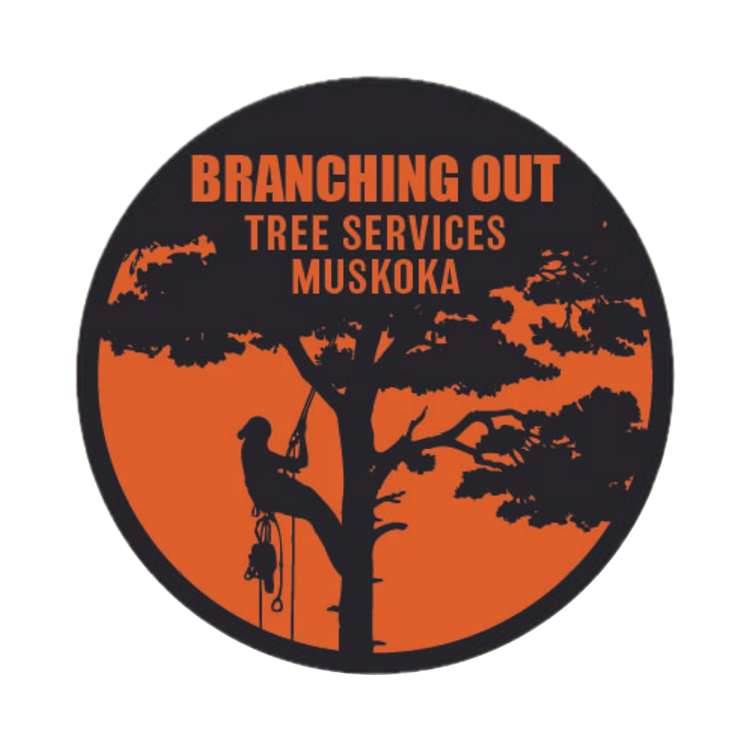 Branching Out Tree Services Muskoka