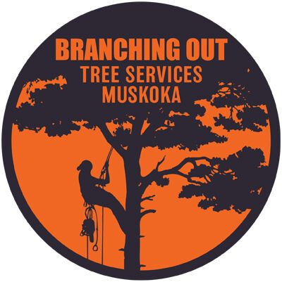 Branching Out Tree Services