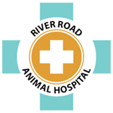 River Road Animal Hospital